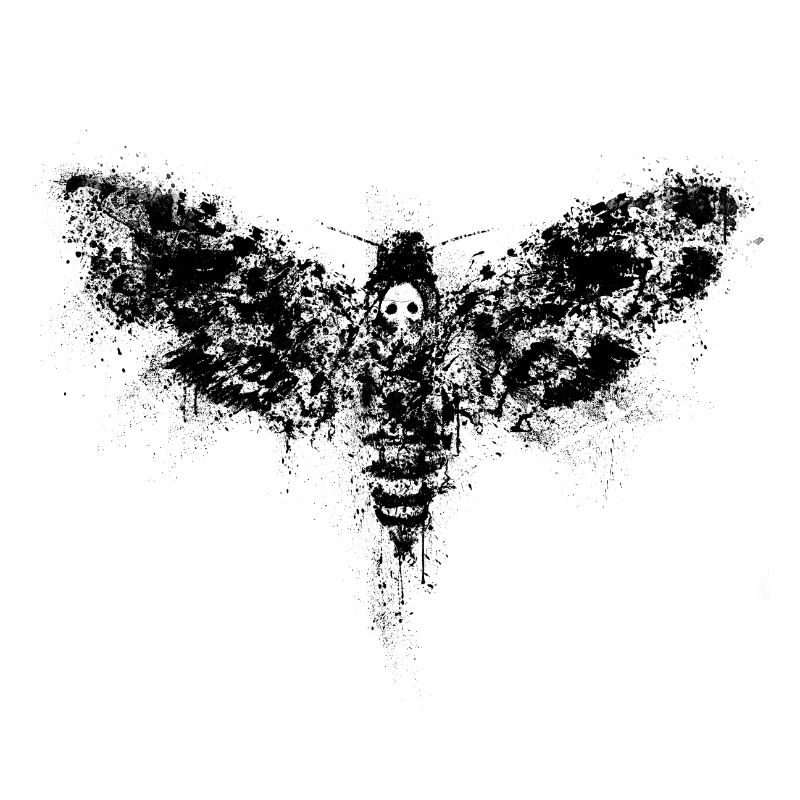 moth