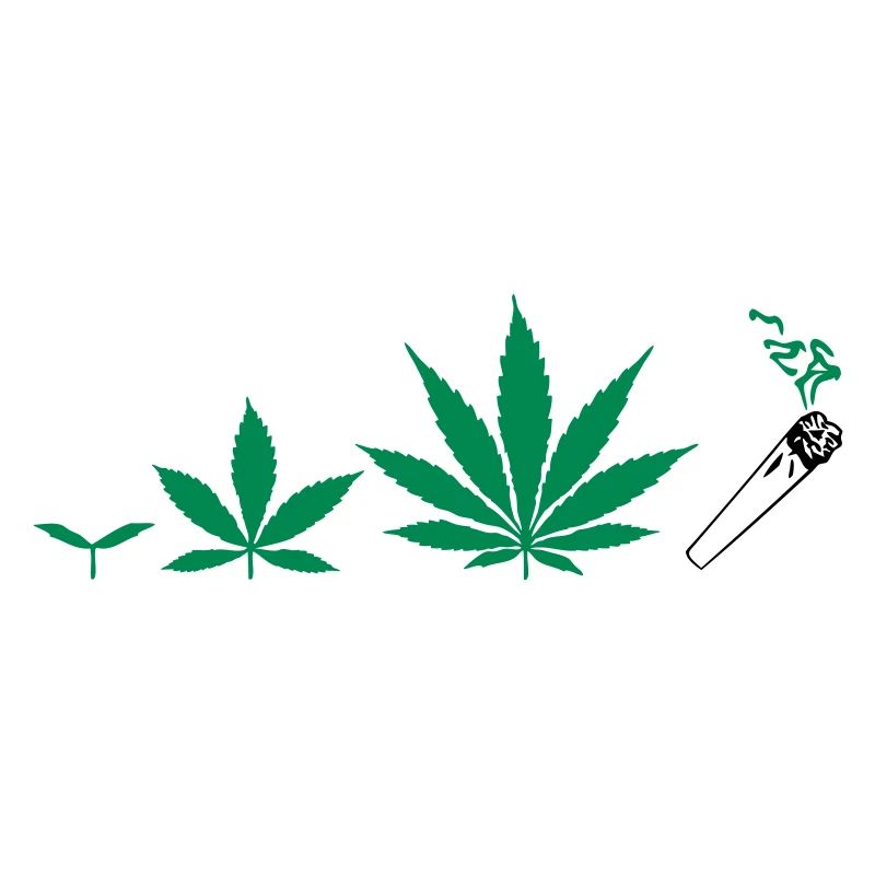 Cannabis development