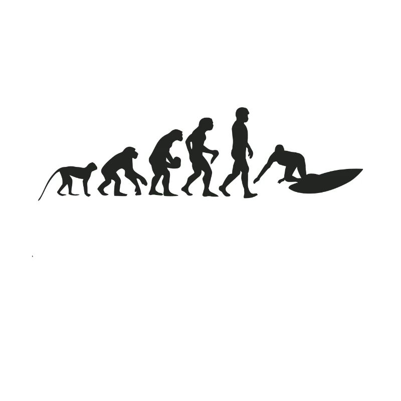 Surfen Evolution