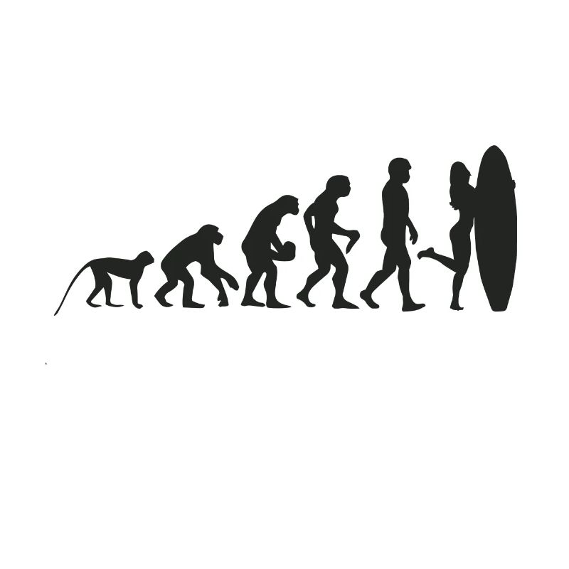 Evolution Surf