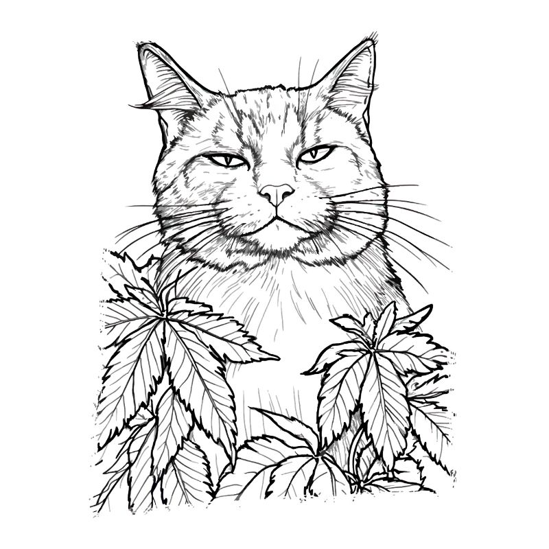 Katze mit Hanf : Lustiger Blick Stubentiger