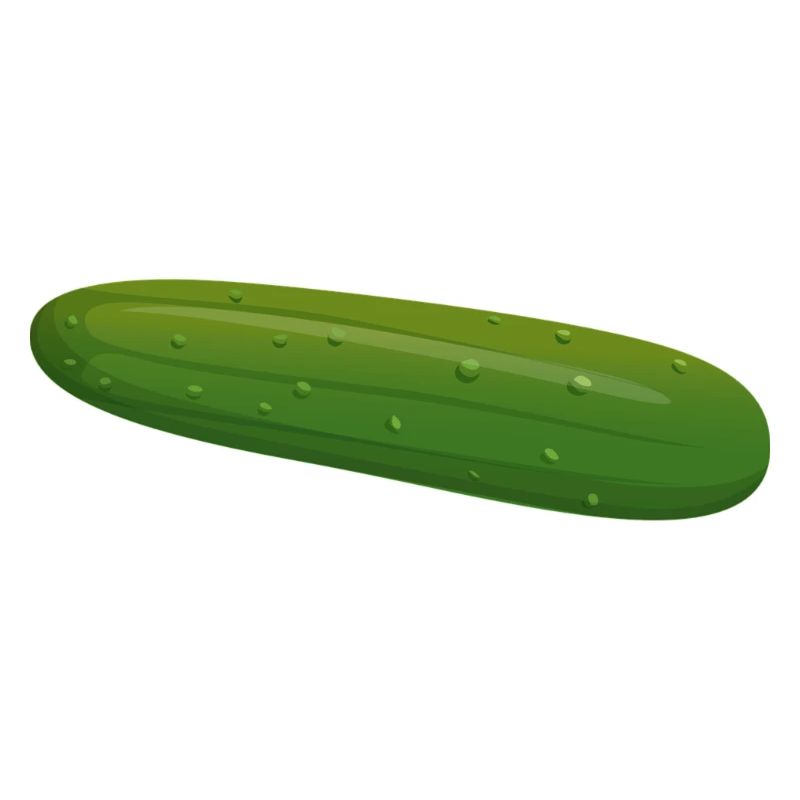 concombre