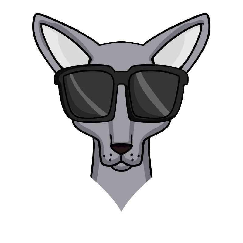 Chat Sphynx avec lunettes de soleil