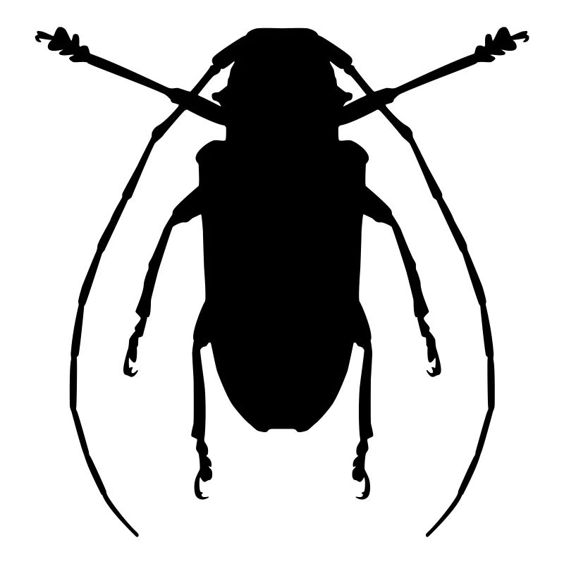 Käfer