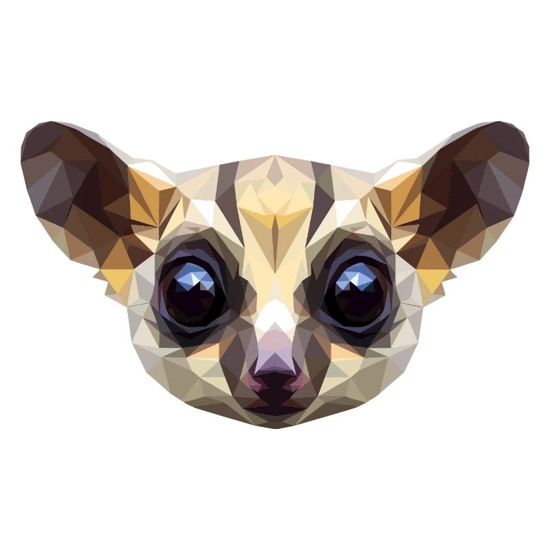 Galago Buisson Bébé Singe Galagos Singe Mignon Galago
