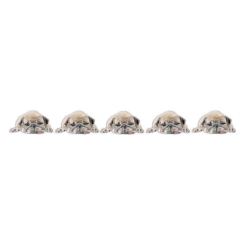 5 Carlins