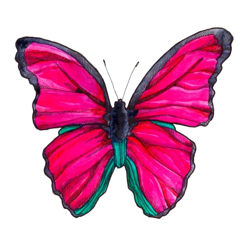 Papillon rose