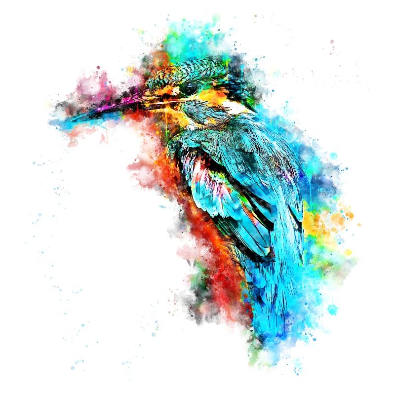 gxp eisvogel kingfisher wasserfarben spritzer