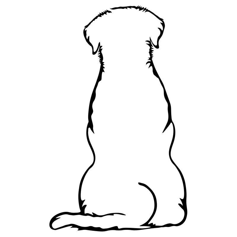 Labbi_sitzend_Back