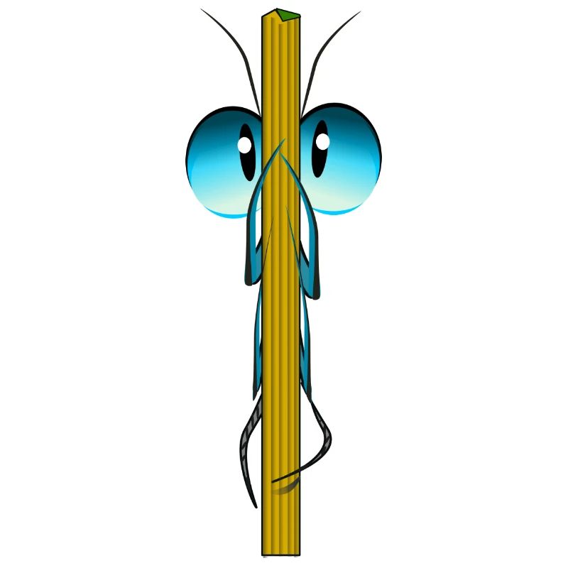 insecte