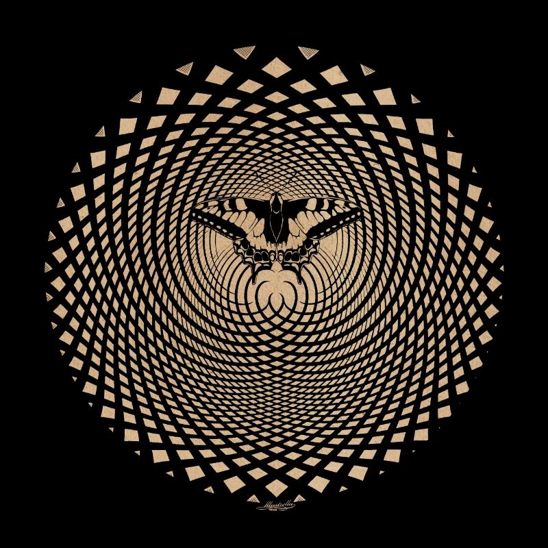 Illusion d’optique Papillon Effet Papillon