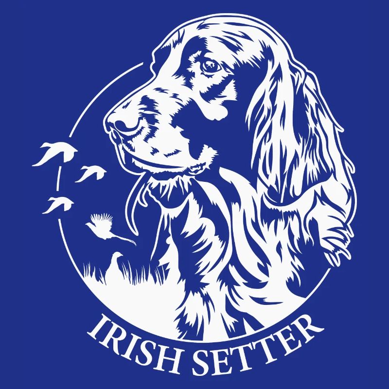 Irish Setter Jagdhund Jagdhunde Hunde Wilsigns