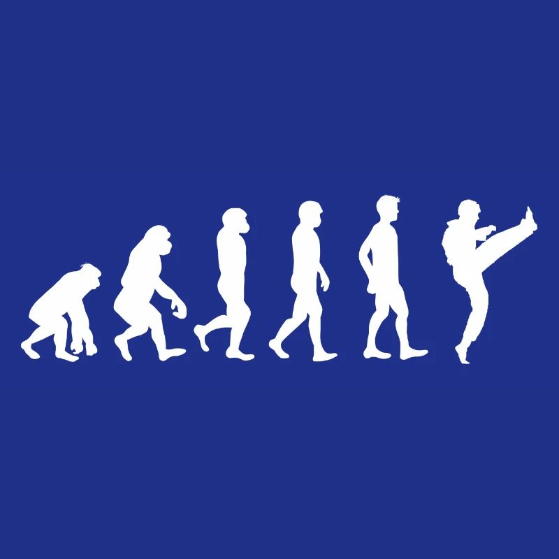 Evolution Karate