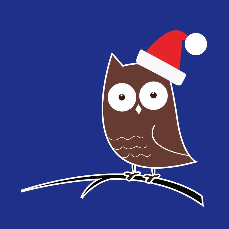 Die Weihnachts-Eule! Geschenk Idee