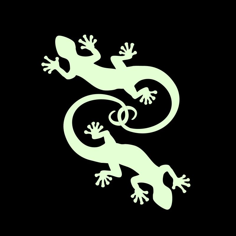BALI - GECKO TWINS