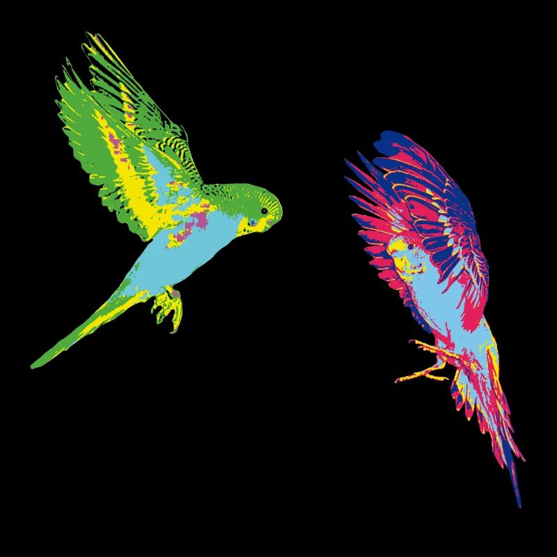 PopArt Budgies