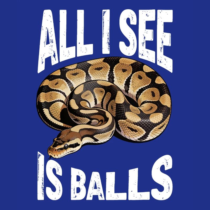 Python roi Serpents Amateurs de terrarium Python