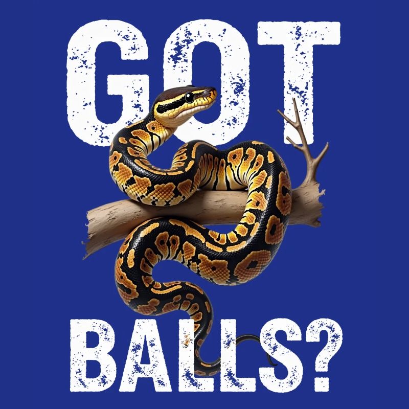 Python roi Serpents Amateurs de terrarium Python