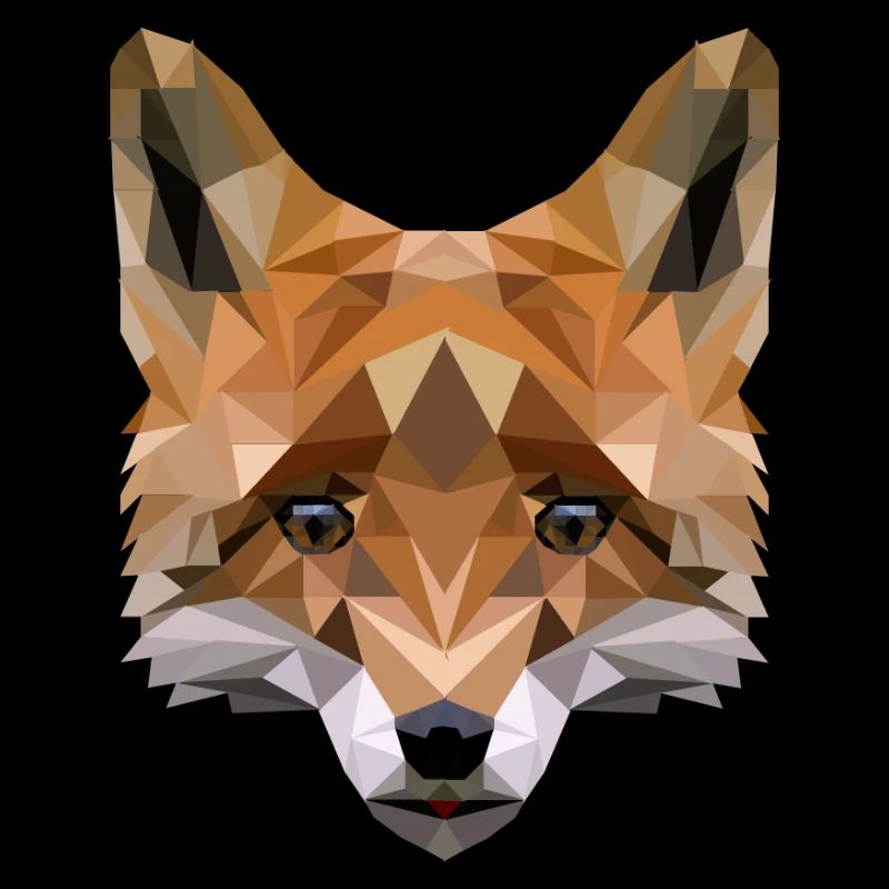 Polygon Fuchs