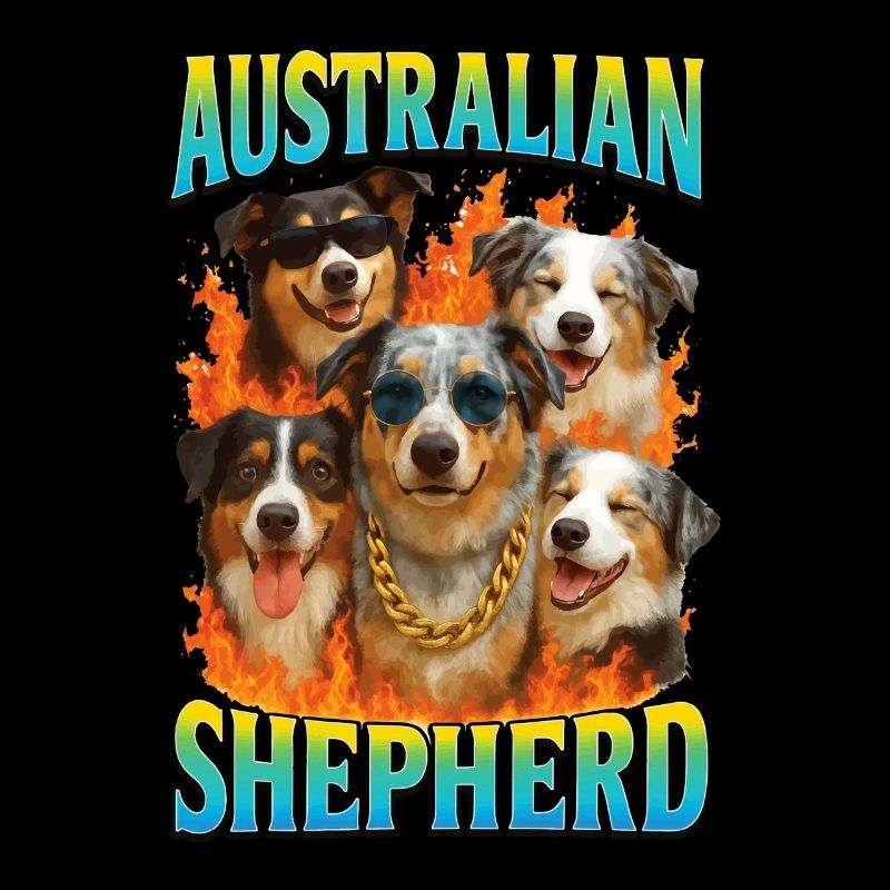 Australischer Schäferhund
