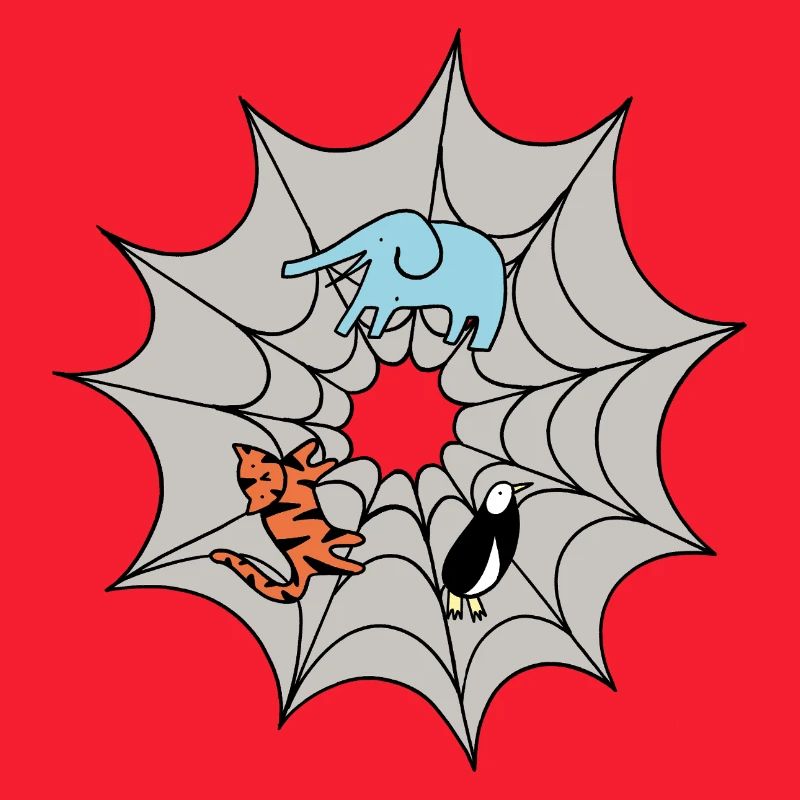 Spider web