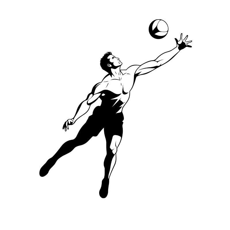 Joueurs de volley-ball