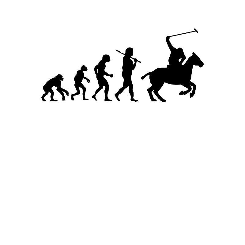Evolution Polo