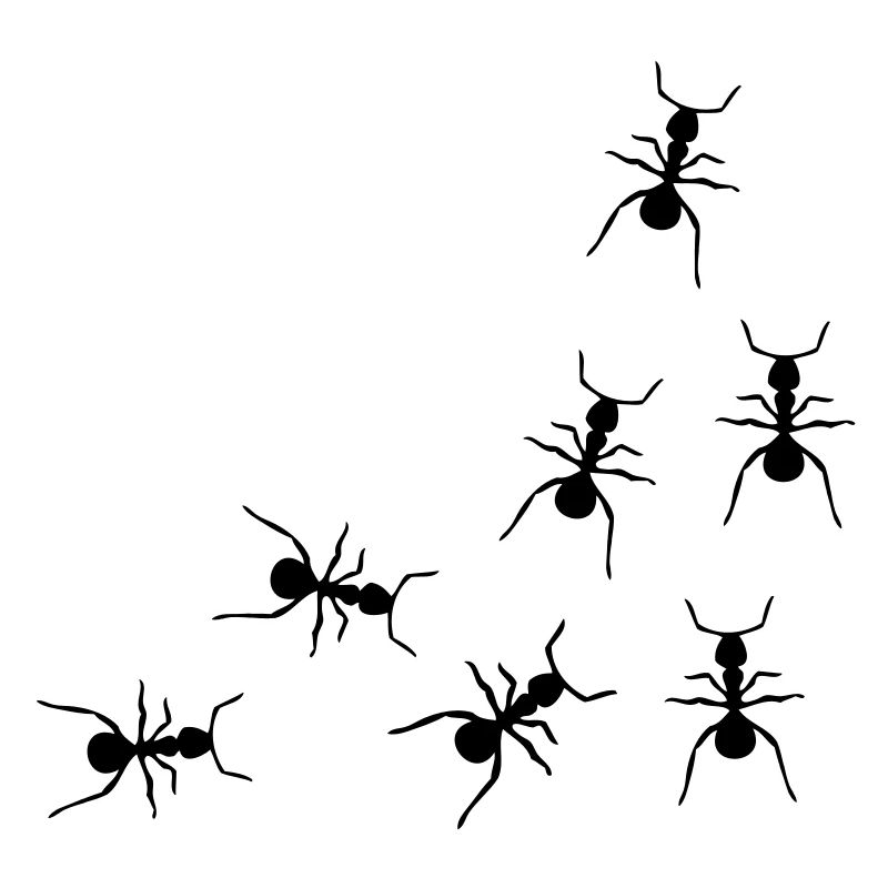 les fourmis