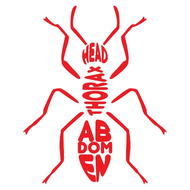 Ant 2 04