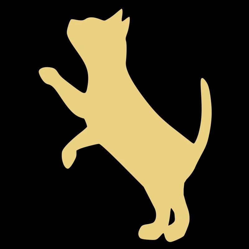 cat2