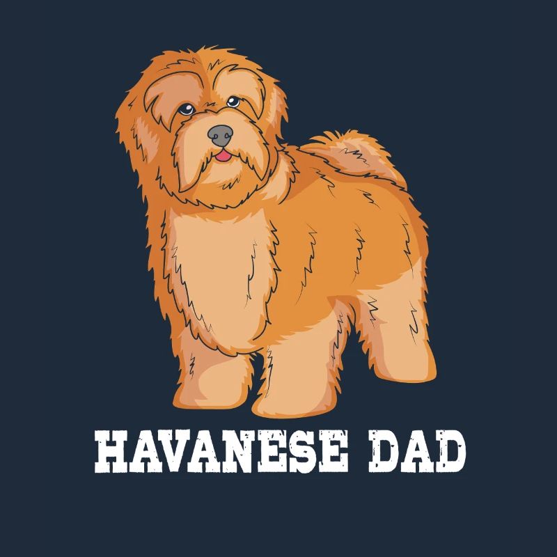 Havanese dog