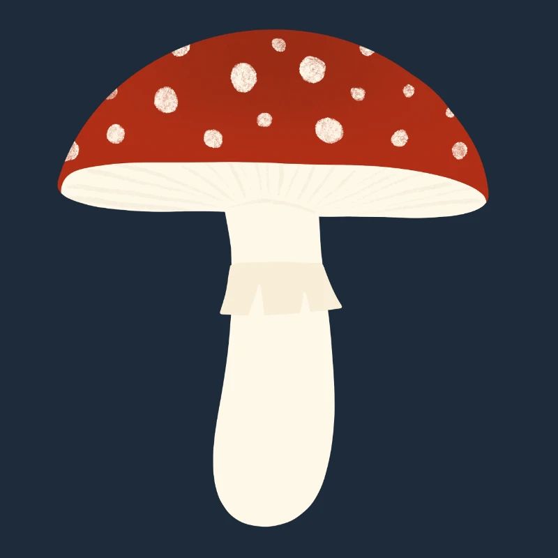 Toadstool Fly Agaric Mushroom