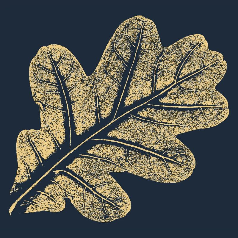 Blatt Eiche / Eichenblatt - Natur Design