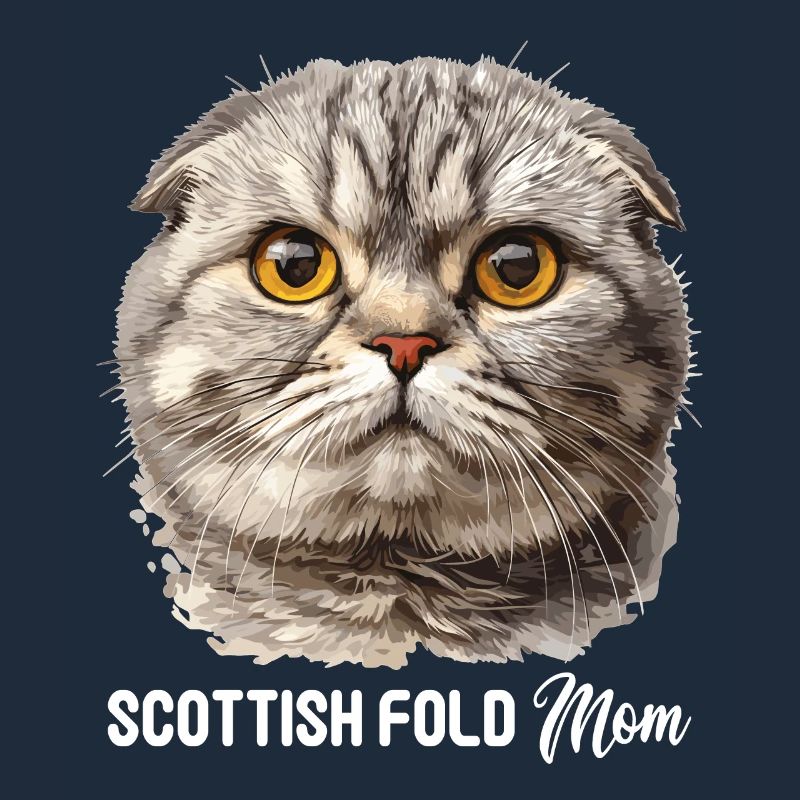Scottish Fold Kitten Scottish Fold chat