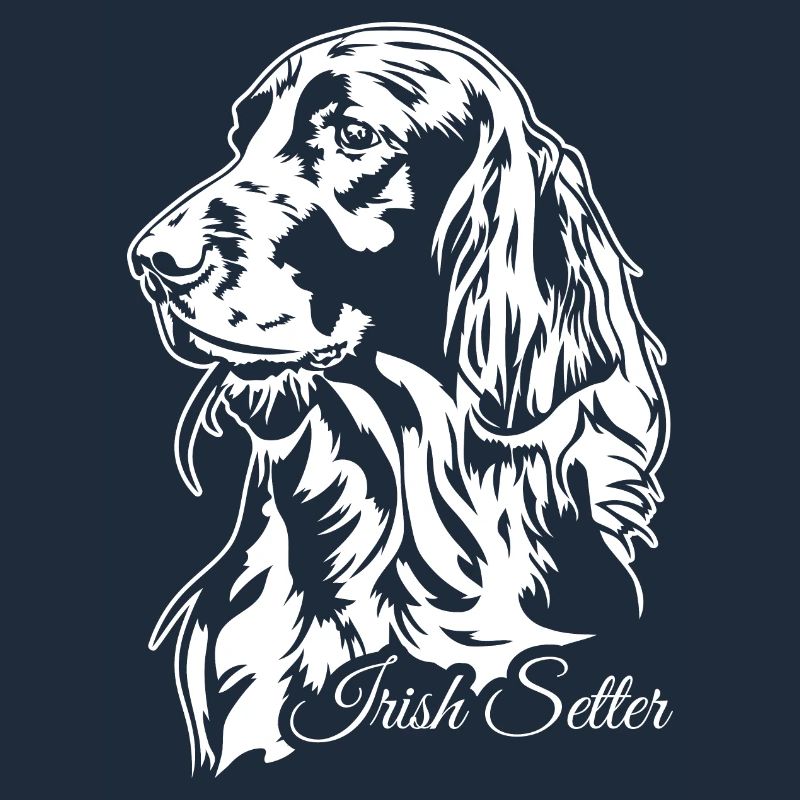 Irish Setter Jagdhund Jagdhunde Hunde Wilsigns