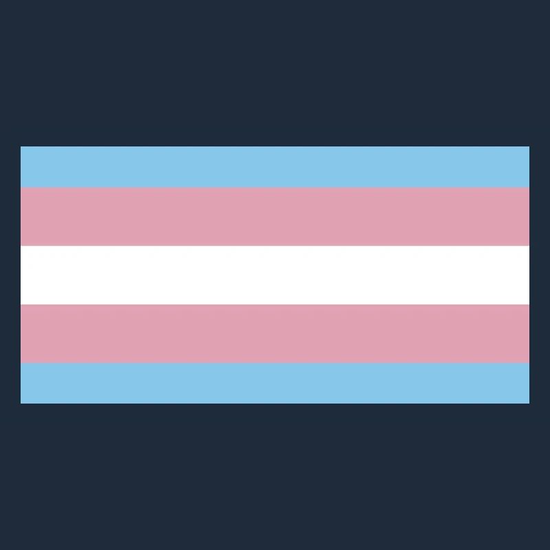 trans pride