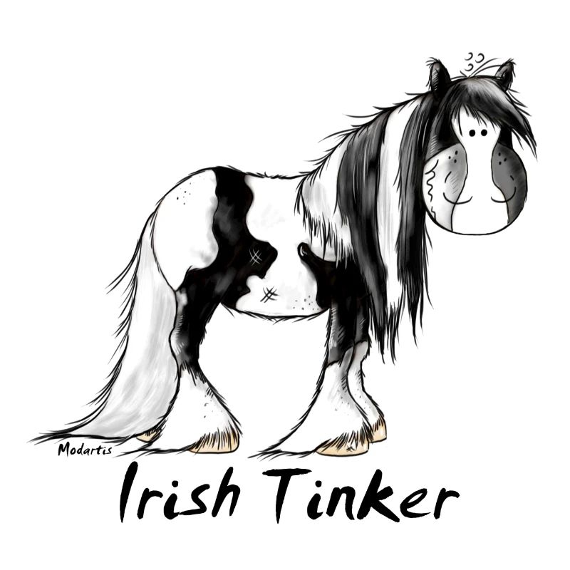 Pfiffiger Irish Tinker - Gypsy Cob