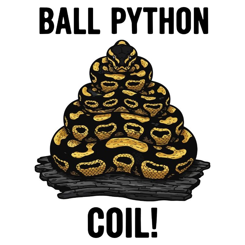 Royal Python Ball Python Coil Reptile Pyramid