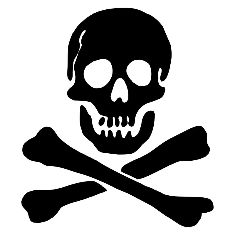 Drapeau pirate Crâne avec os croisés