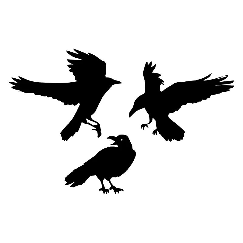 Three raven crows