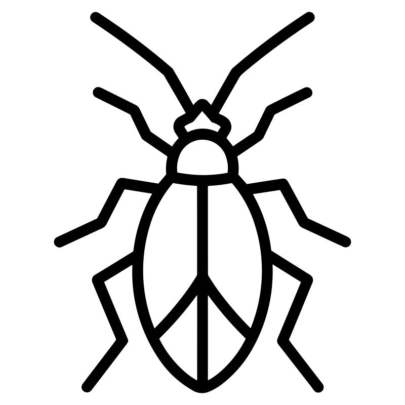 Aphid