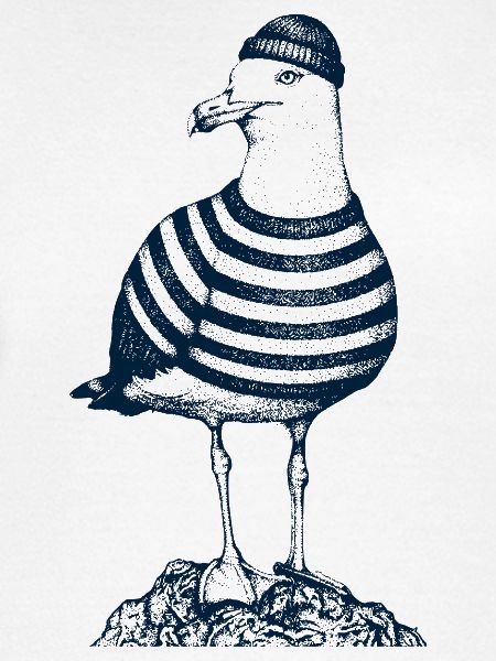 Möwe mit Pulli