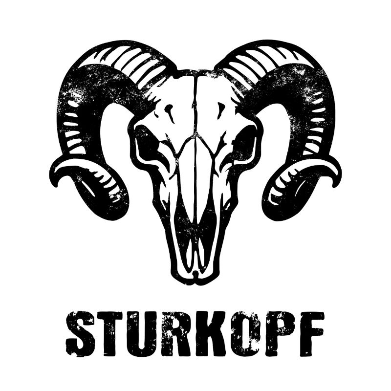 Sturkopf | Widderkopf Schädel mit Hörnern