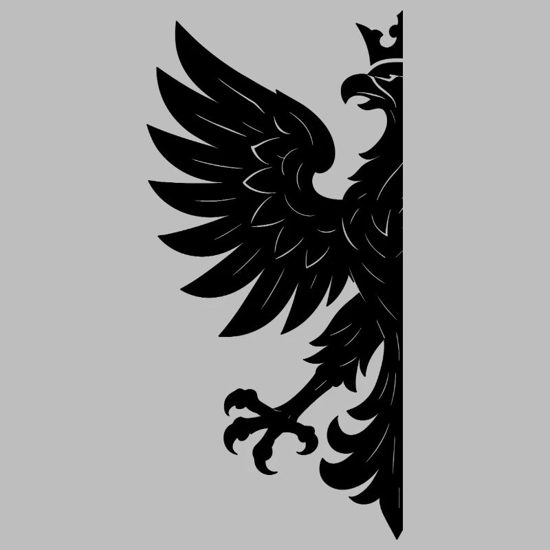 Pologne Polska Eagle Drapeau Drapeau Noir Cadeau
