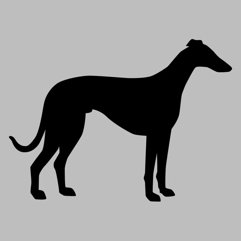 Lévrier