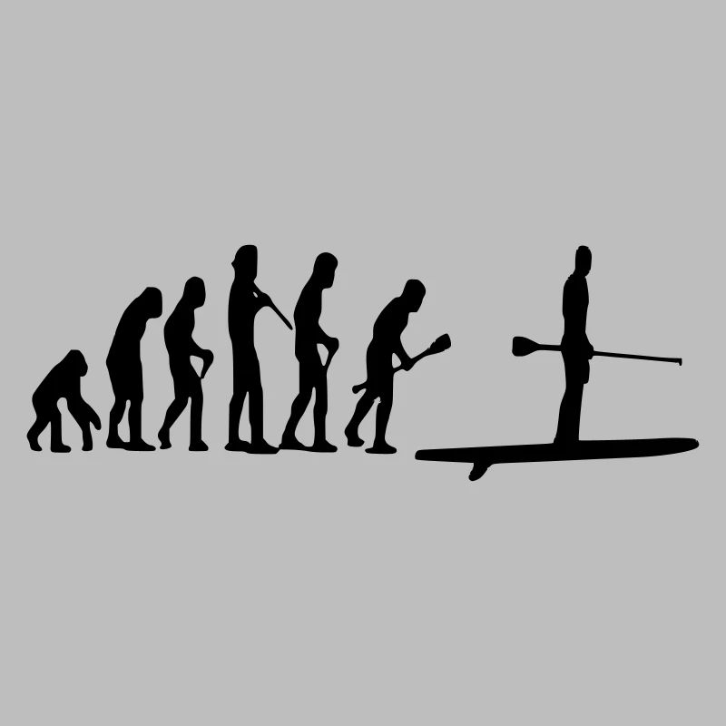 Paddle Evolution