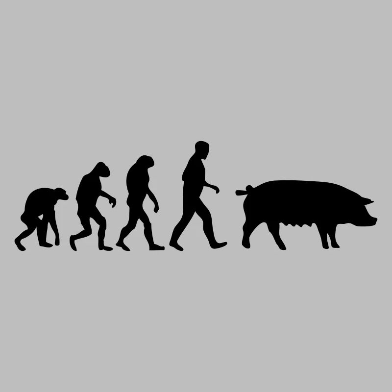 schwein evolution