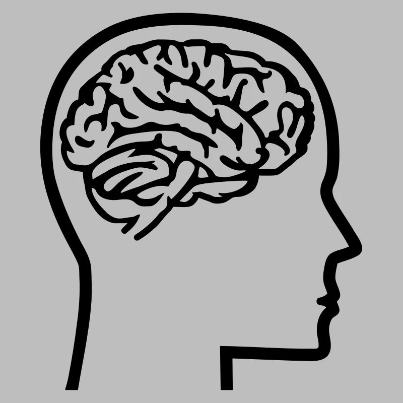 Brain
