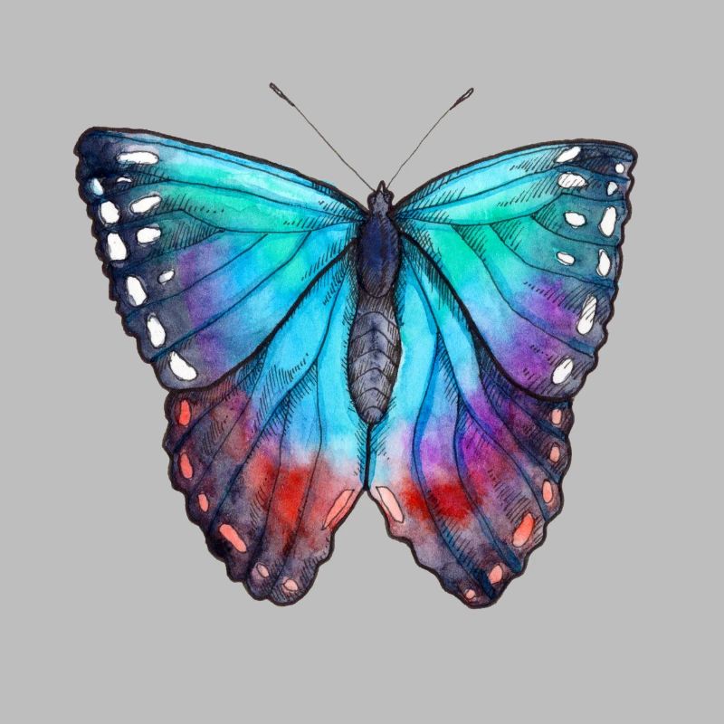 Papillon bleu