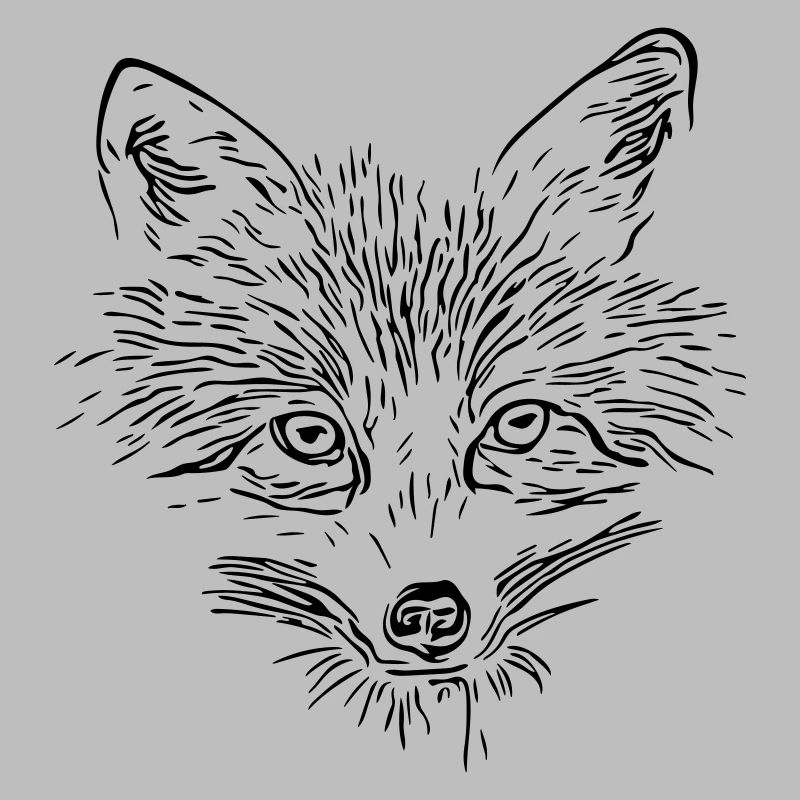 Fox Face - Fox Face